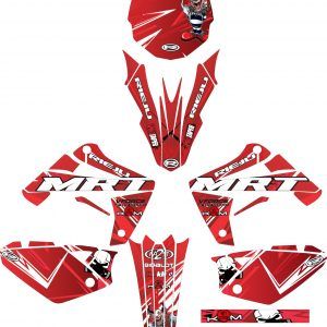 KIT VINILOS MRT 2009-2021 #11