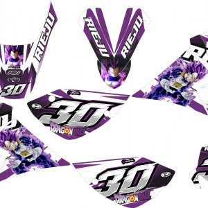 KIT VINILOS RR 2005-2007 #15