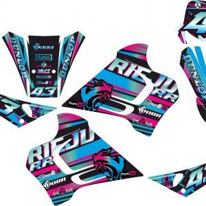 KIT VINILOS RR 1996-2004 #03