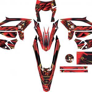 KIT VINILOS BETA RR 2021-2026 #06