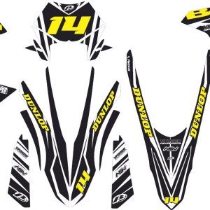 KIT VINILOS BETA RR 2011-2020 #05