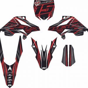 KIT VINILOS BETA RR 2011-2020 #06